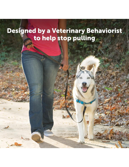 Arnés PetSafe Easy Walk Deluxe Grande Océano Sin Tirones Arnés PetSafe Easy Walk Deluxe Grande Océano Sin Tirones