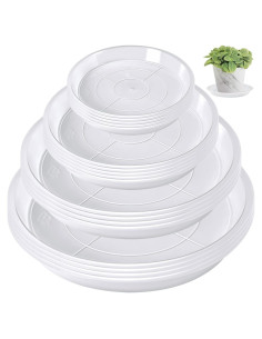 Bandeja de Macetas Augshy 18 Piezas 10.16/15.24 cm Transparente