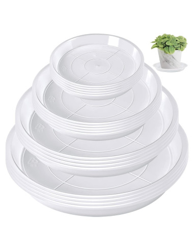 Bandeja de Macetas Augshy 18 Piezas 10.16/15.24 cm Transparente