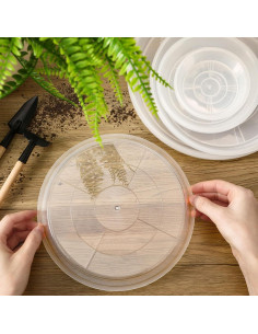 Bandeja de Macetas Augshy 18 Piezas 10.16/15.24 cm Transparente 2