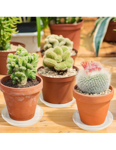 Bandeja de Macetas Augshy 18 Piezas 10.16/15.24 cm Transparente