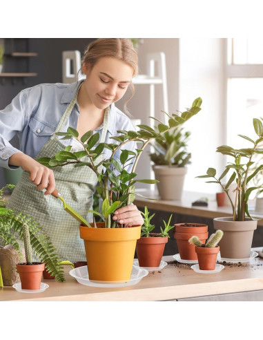 Bandeja de Macetas Augshy 18 Piezas 10.16/15.24 cm Transparente