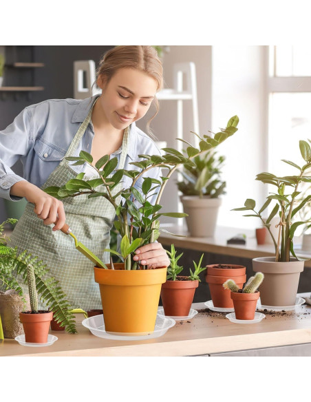 Bandeja de Macetas Augshy 18 Piezas 10.16/15.24 cm Transparente