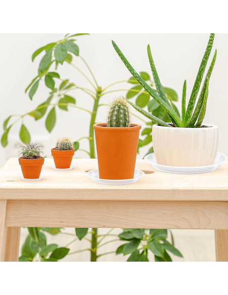 Bandeja de Macetas Augshy 18 Piezas 10.16/15.24 cm Transparente