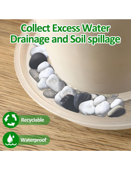 Bandeja de Macetas Augshy 18 Piezas 10.16/15.24 cm Transparente