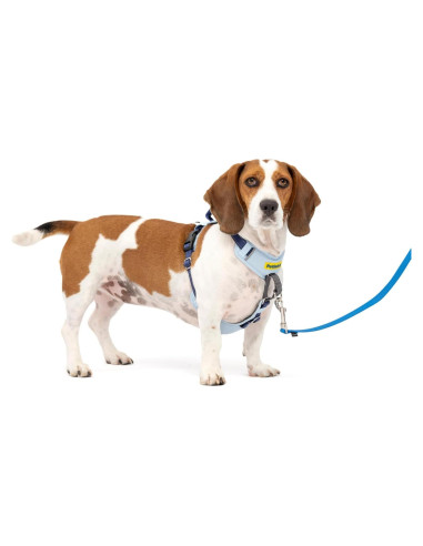 Arnés para Perros PetSafe Easy Walk Comfort Pequeño Azul