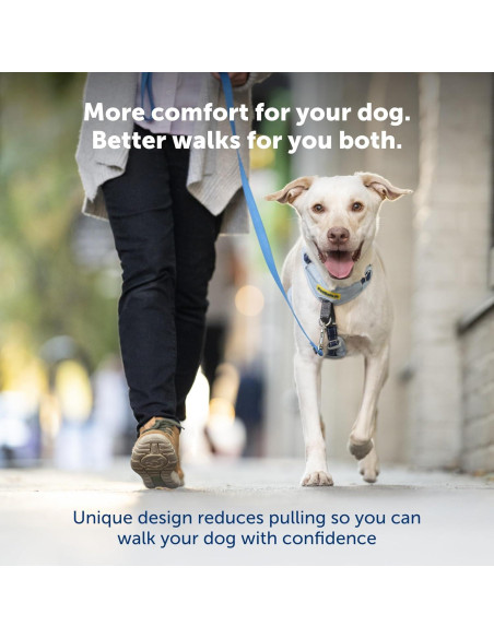 Arnés para Perros PetSafe Easy Walk Comfort Pequeño Azul