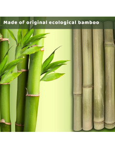 Plataforma de Basking para Tortugas ZENVINO 28x18 cm Hecha a Mano 2