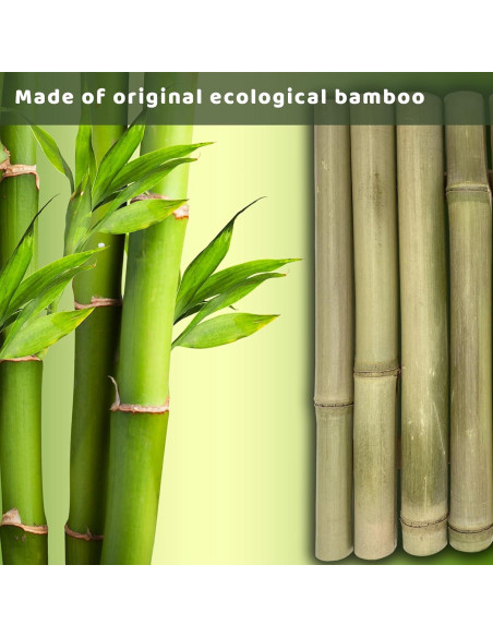 Plataforma de Basking para Tortugas ZENVINO 28x18 cm Hecha a Mano