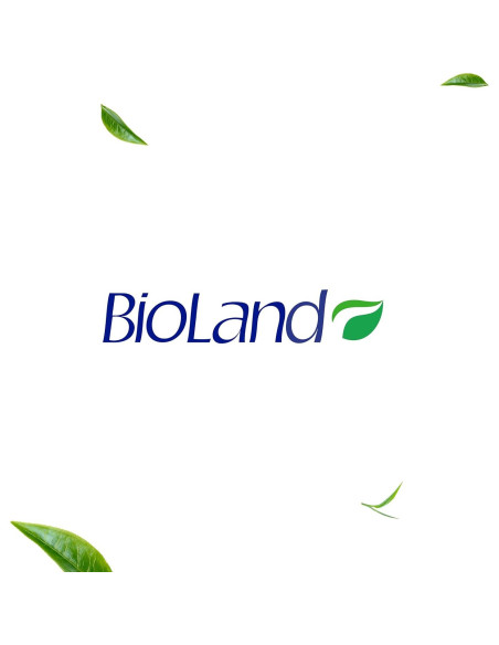 Gel de Aloe Vera BioLand 300 mL - Hidratante Calmante Piel Gel de Aloe Vera BioLand 300 mL - Hidratante Calmante Piel
