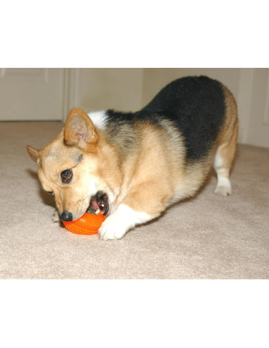 Juguete Interactivo Starmark Bento Ball para Perros Pequeños