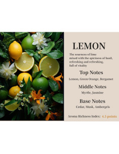 Juego de Ambientadores de Automóvil DEGUI Aroma Limón 2 Piezas 2