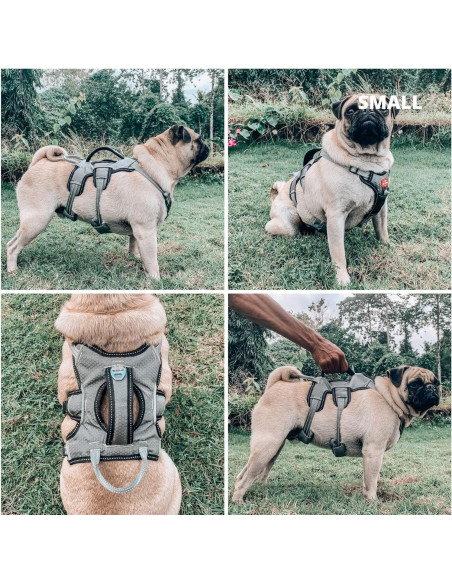 Arnés para Perros Tuff Pupper Ajustable y Acolchado