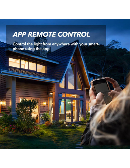 Interruptor de Luz Inteligente NillWay 1 Gang WiFi 2.4GHz Negro