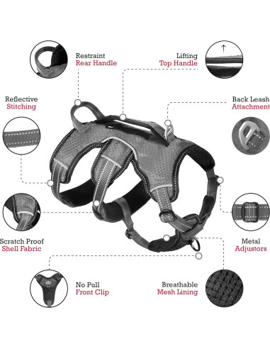 Arnés para Perros Tuff Pupper Ajustable y Acolchado