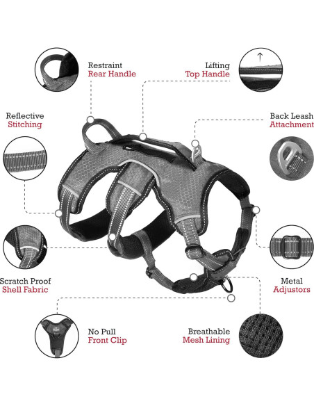 Arnés para Perros Tuff Pupper Ajustable y Acolchado