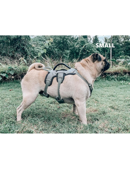 Arnés para Perros Tuff Pupper Ajustable y Acolchado