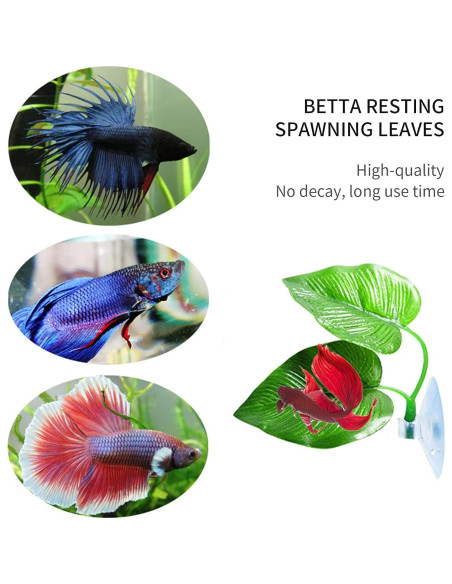 Hojas de Descanso para Peces Betta Zickupy - 2 Piezas