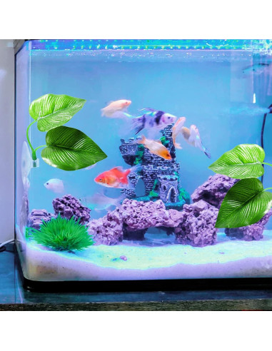 Hojas de Descanso para Peces Betta Zickupy - 2 Piezas