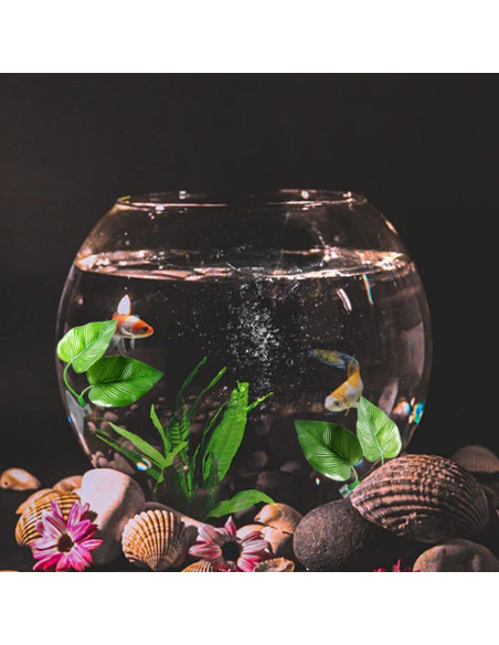 Hojas de Descanso para Peces Betta Zickupy - 2 Piezas