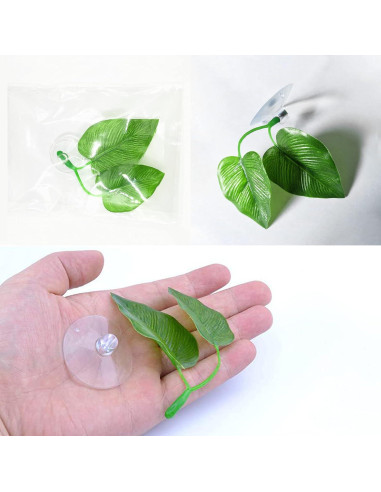 Hojas de Descanso para Peces Betta Zickupy - 2 Piezas