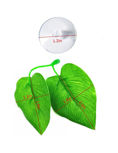 Hojas de Descanso para Peces Betta Zickupy - 2 Piezas