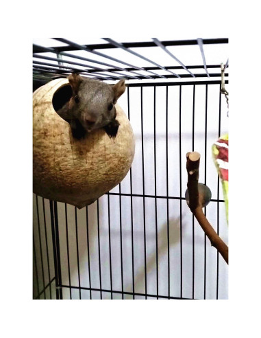 Nido de Cría para Aves Hypeety de Coco Natural 10-15cm