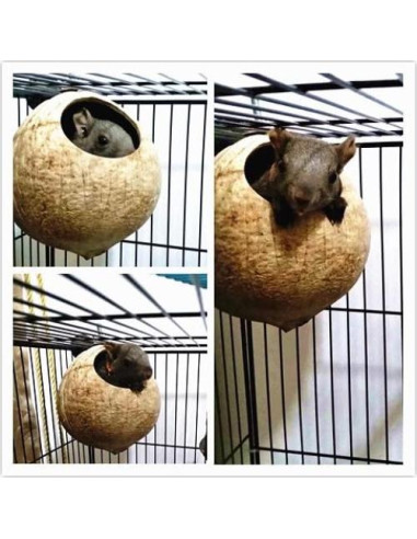 Nido de Cría para Aves Hypeety de Coco Natural 10-15cm