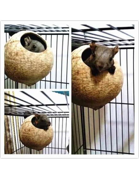 Nido de Cría para Aves Hypeety de Coco Natural 10-15cm