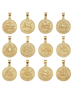 Colgantes de Acero Inoxidable Beadthoven 12 Pcs Zodiaco