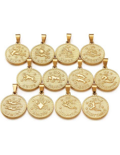 Colgantes de Acero Inoxidable Beadthoven 12 Pcs Zodiaco 2