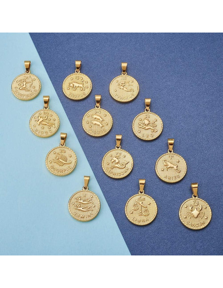 Colgantes de Acero Inoxidable Beadthoven 12 Pcs Zodiaco