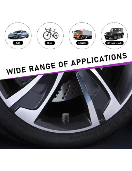 Ziciner 10 Tapones de Válvula de Neumático de Aluminio