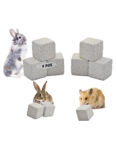 Bloques de Lava para Hámster PINVNBY - 9 Piezas, Masticar y Salud Dental