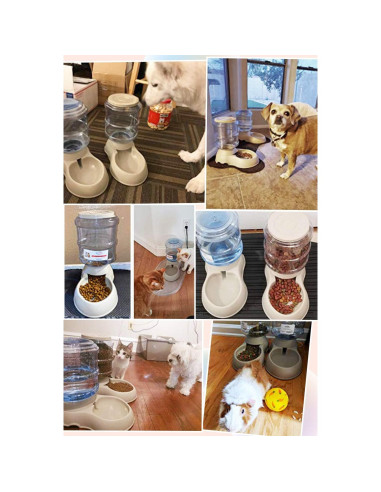 Comedero Automático para Gatos y Perros Ito Rocky 6 Comidas