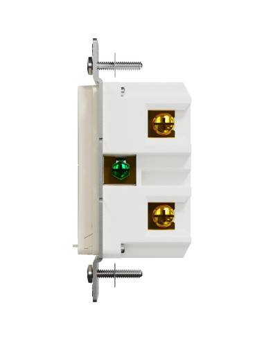 Interruptor Regulador de Luz Inteligente Square D 15A Z-Wave Plus