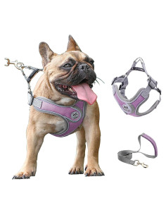 Arnés Ajustable para Perros Pequeños D.QingPei Púrpura S