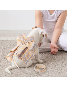 Conjunto de vestido a cuadros para perros Potchen 4 piezas XS 2