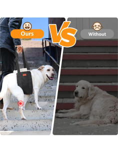 Arnés Elevador para Perros PICK FOR LIFE Grande Negro 2