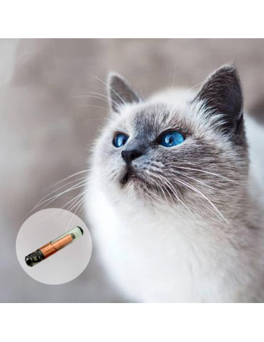 Microchip para Mascotas ISENVO 134.2K FDX-B 1.25x7mm
