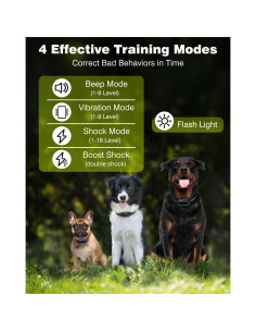 Collar de Entrenamiento Peture 1000m IPX7 4 Modos Ajustable 2