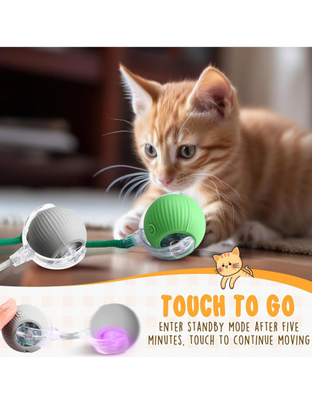 Paquete de 6 Juguetes Interactivos para Gatos WinnerWhy