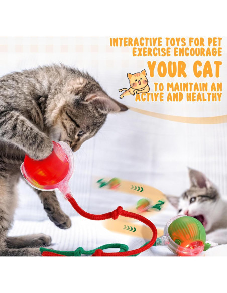 Paquete de 6 Juguetes Interactivos para Gatos WinnerWhy