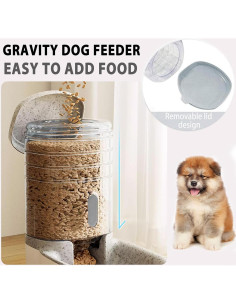 Dispensador automático de comida para perros Kathson 3.8L 2