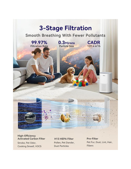 Purificador de Aire HEPA Tailulu AP100 para Habitaciones Grandes Purificador de Aire HEPA Tailulu AP100 para Habitaciones Grandes