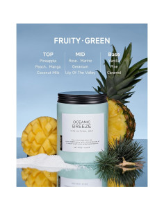 Vela Aromatizada M&SENSE Brisa Oceánica 550g 110 Horas 2 Mechas 2