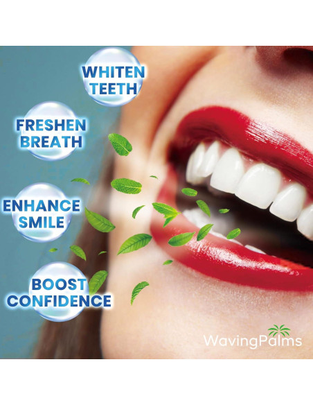 Tiras de Blanqueamiento Dental Waving Palms 42 Unidades Menta
