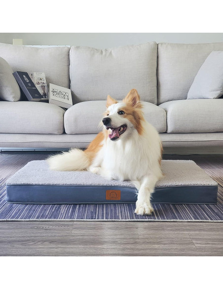Cama ortopédica para perros grandes Sunheir 88.9x55.9cm Gris
