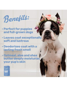 Champú para Perros Oliver's Choice 354.88 ml - Avena y Aloe 2