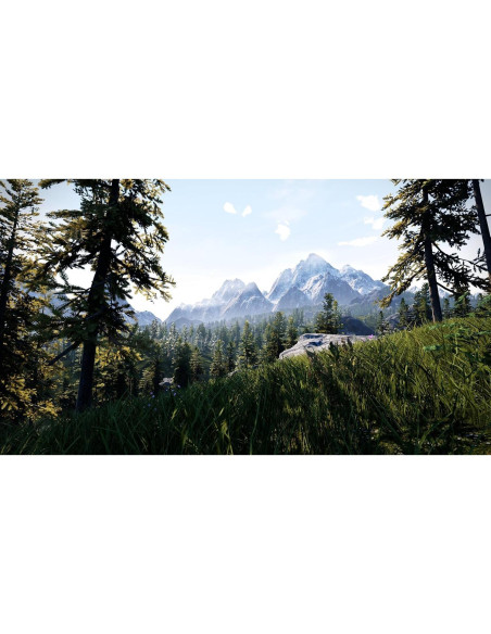 Simulador de Caza - Maximum Games - Nintendo Switch - 37 especies